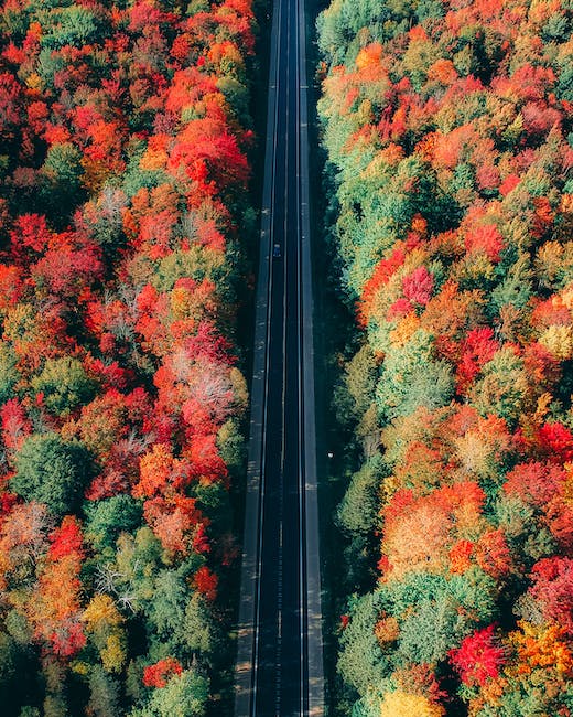 Exploring Vermont's Foliage in New England's Autumn